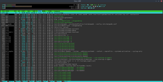 htop-MEM